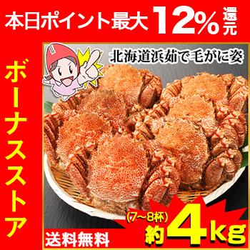 かに カニ 蟹 毛蟹 毛蟹 け蟹 ケガニ | 北海道浜茹で毛がに姿 7〜8杯 (約4kg) | ブランド登録なし