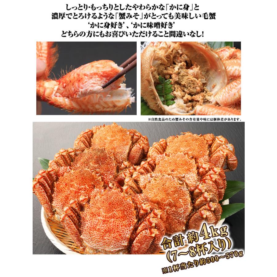 かに カニ 蟹 毛蟹 毛蟹 け蟹 ケガニ | 北海道浜茹で毛がに姿 7〜8杯 (約4kg) | ブランド登録なし | 04