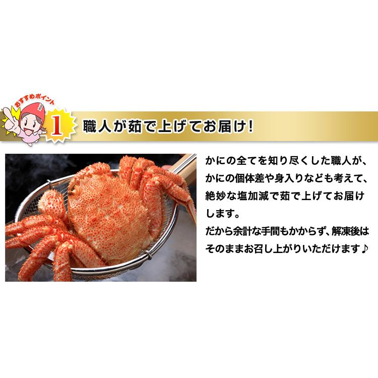 かに カニ 蟹 毛蟹 毛蟹 け蟹 ケガニ | 北海道浜茹で毛がに姿 7〜8杯 (約4kg) | ブランド登録なし | 05