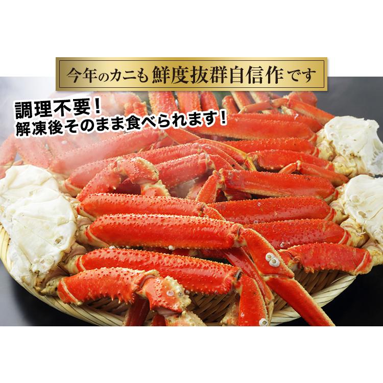 かに カニ 蟹 ズワイガニ ボイル | 大型4Lボイルずわいがに肩脚 7〜8肩（約2.5kg）【送料無料】｜egaotakumi｜03