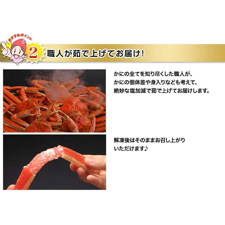 かに カニ 蟹 ズワイガニ ボイル | 大型4Lボイルずわいがに肩脚 7〜8肩