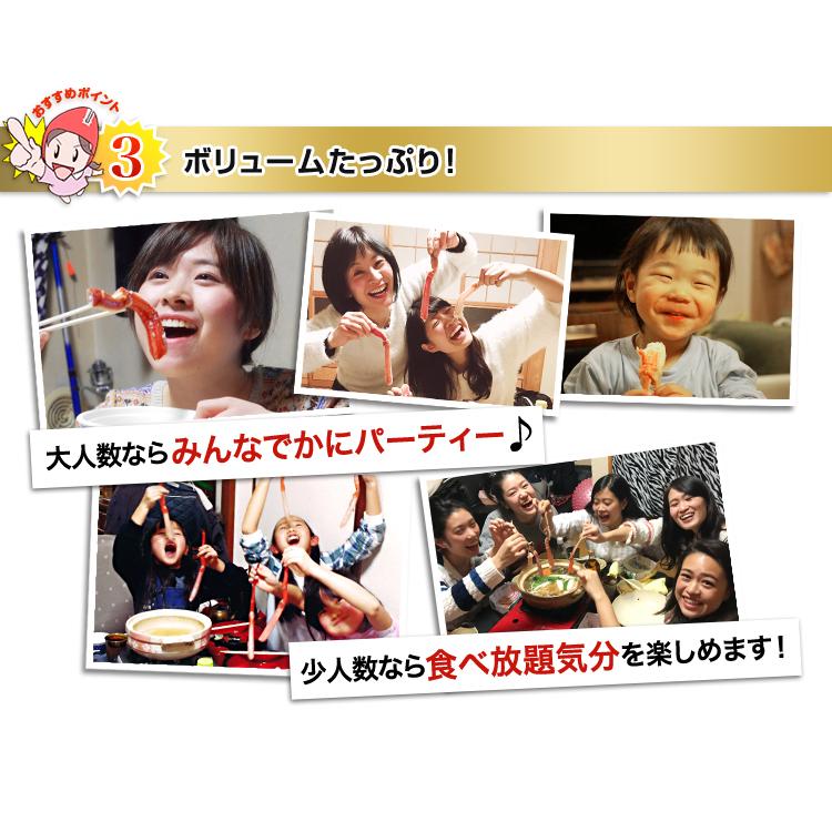 かに カニ 蟹 ズワイガニ ボイル | 大型4Lボイルずわいがに肩脚7〜8肩(総重量約2.5kg) | ブランド登録なし | 09
