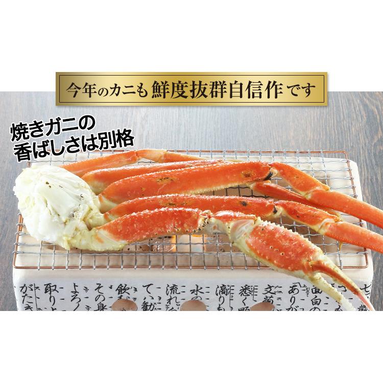 かに カニ 蟹 ズワイガニ | 大型4L生ずわいがに肩脚 7〜8肩（約2.5kg）【送料無料】｜egaotakumi｜03