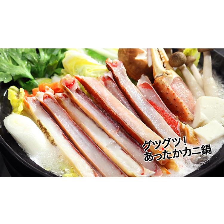 【22800円→12800円！】訳あり　紅ズワイガニ肩Sサイズ　B品　5Kg　蟹　ずわい　かに 🦀タイムセール🦀】【北海道産】訳あり 紅ズワイガニ肩Sサイズ B