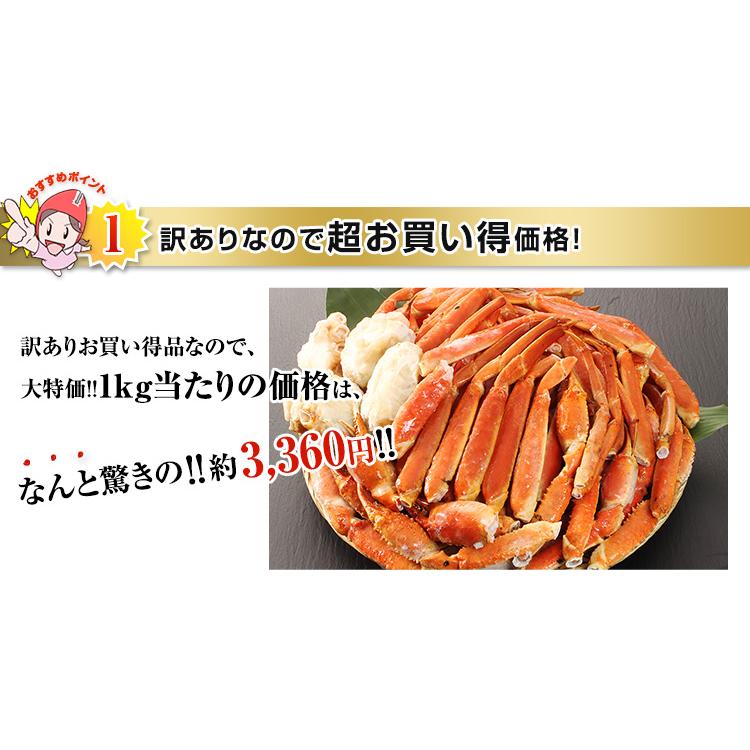 かに カニ 蟹 ズワイガニ ボイル | 訳あり折れボイルずわいがに（約5kg 