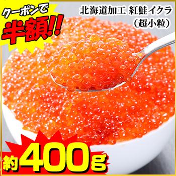 定価の67％ＯＦＦ 北海道加工 紅鮭イクラ 超小粒 約500g 約250g×2パック セール開催中最短即日発送