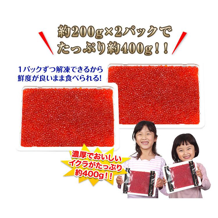 イクラ いくら 紅鮭イクラ 紅鮭いくら 紅鮭 イクラ丼 海鮮丼 |北海道