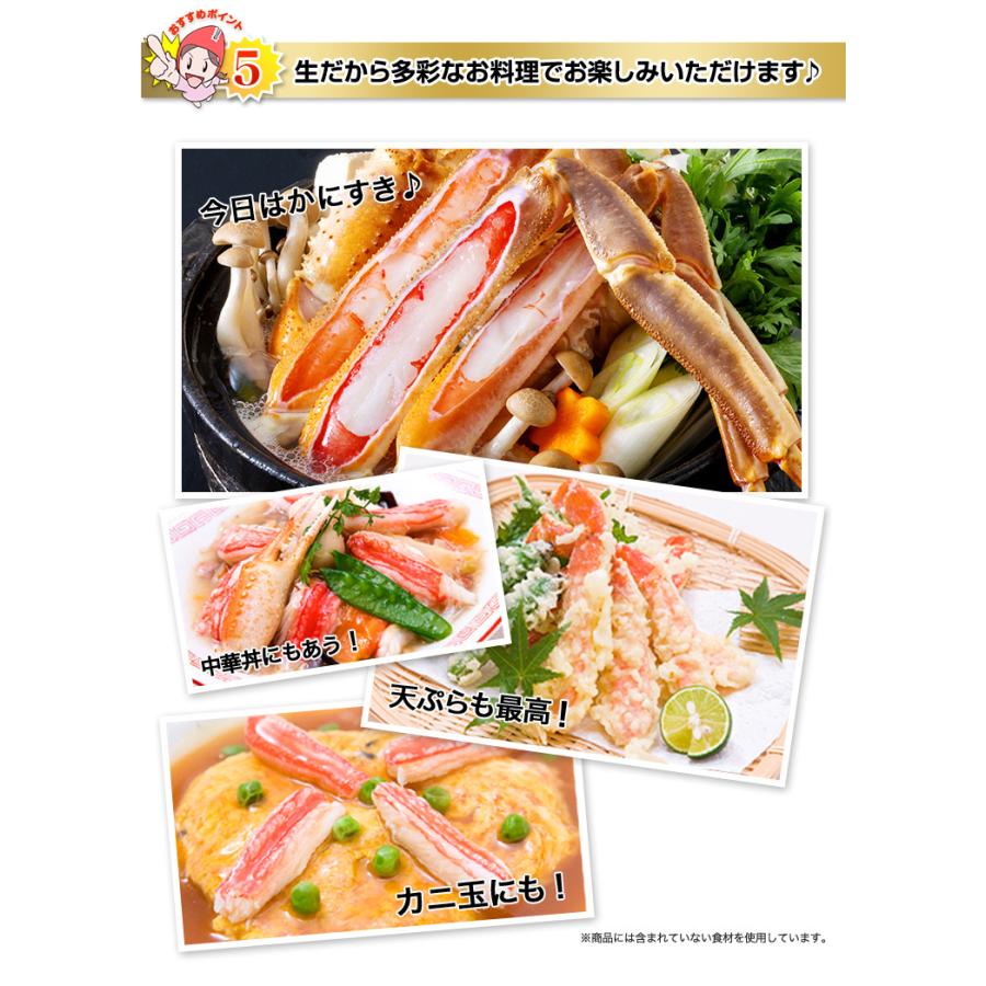かに カニ 蟹 ズワイガニ 活松葉 松葉ガニ | 【数量限定特大サイズ