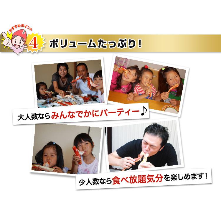 かに カニ 蟹 タラバガニ たらば蟹 | 特大7L生たらば半むき身満足セット1.4kg超（総重量約1.6kg） | ブランド登録なし | 14