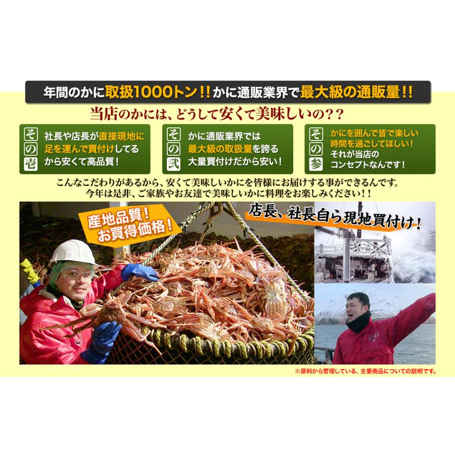 かに カニ 蟹 タラバガニ たらば蟹 | 特大7L生たらば半むき身満足セット1.4kg超（総重量約1.6kg） | ブランド登録なし | 01