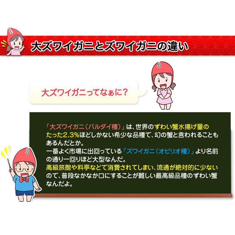 かに カニ 蟹 ズワイガニ 生 | 【最高級バルダイ種】超特大10L生大ずわい 半むき身満足セット 2kg超（総重量約2.4kg）｜egaotakumi｜04