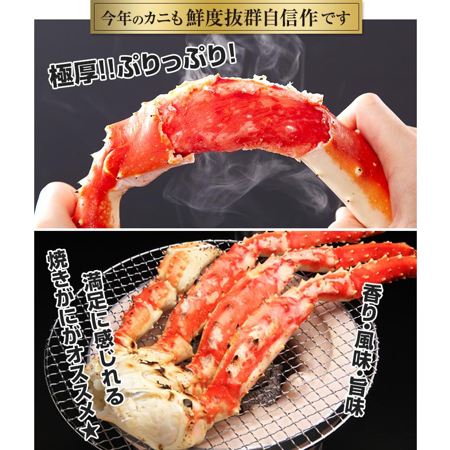 かに カニ 蟹 タラバガニ たらば蟹 | プレミアム超特大9Lボイルたらばがに肩脚1肩(総重量約2kg) | ブランド登録なし | 03