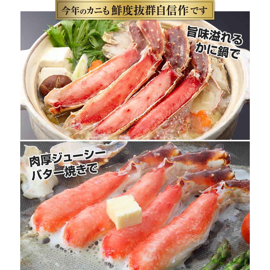 かに カニ 蟹 タラバガニ たらば蟹 | プレミアム超特大10L生たらばがに肩脚1肩（総重量約2.2kg） | ブランド登録なし | 02