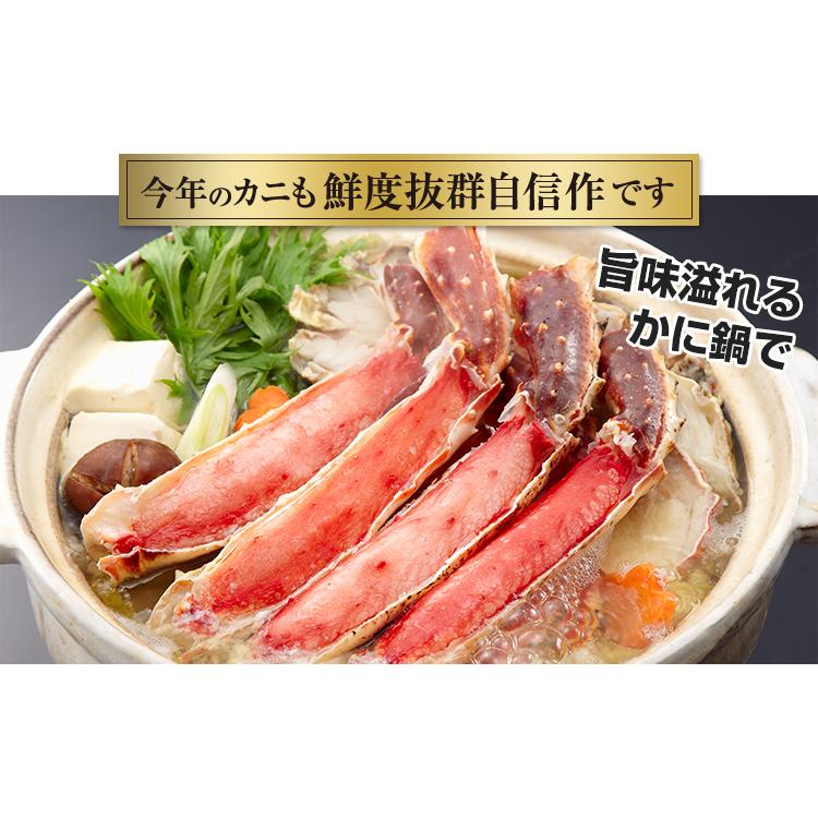 かに カニ 蟹 タラバガニ たらば蟹 | 超特大7L生たらばがに肩脚1肩（総重量約1.6kg）【送料無料】 | ブランド登録なし | 02
