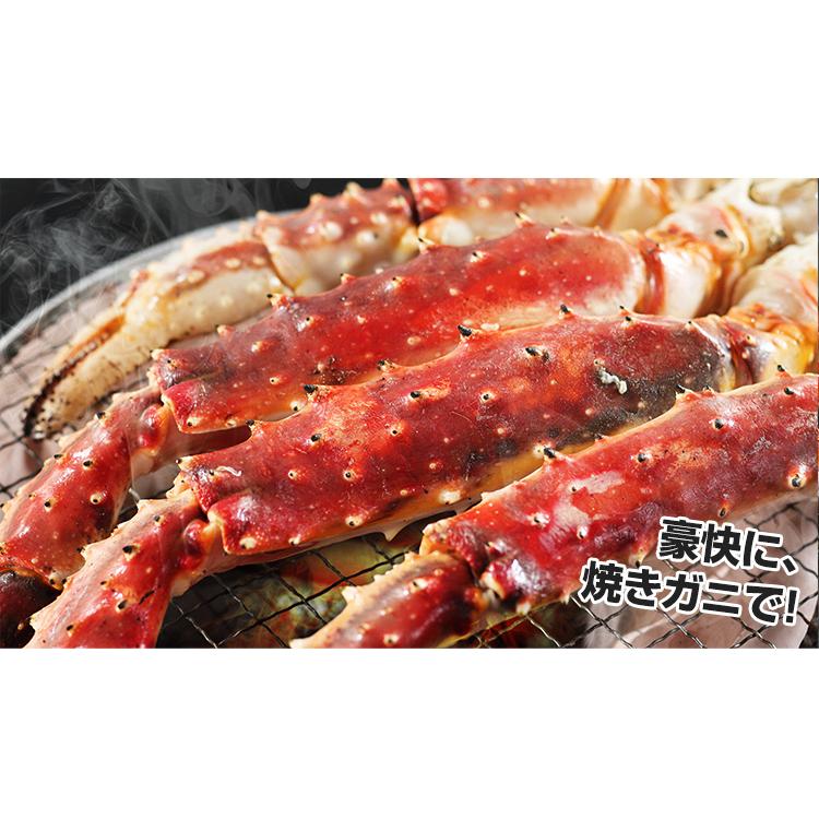 かに カニ 蟹 タラバガニ たらば蟹 | 超特大7L生たらばがに肩脚1肩（総重量約1.6kg）【送料無料】 | ブランド登録なし | 04