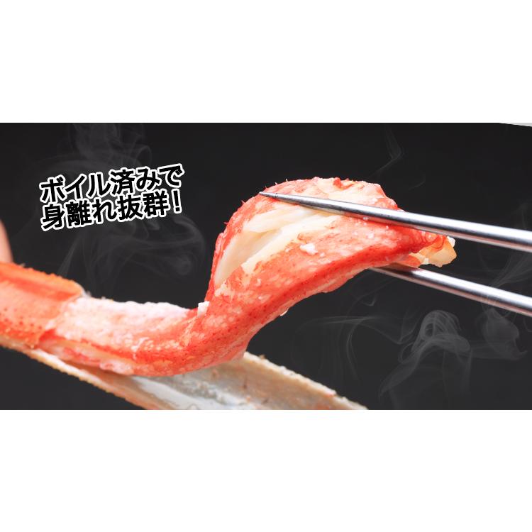 かに カニ 蟹 ズワイガニ ボイル| 【お値打ち・訳あり】ボイルずわい姿