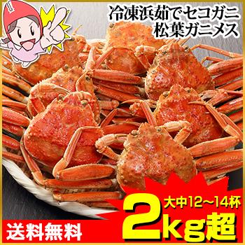 かに カニ 蟹 ズワイガニ せこがに | 【境港厳選】冷凍浜茹でセコガニ