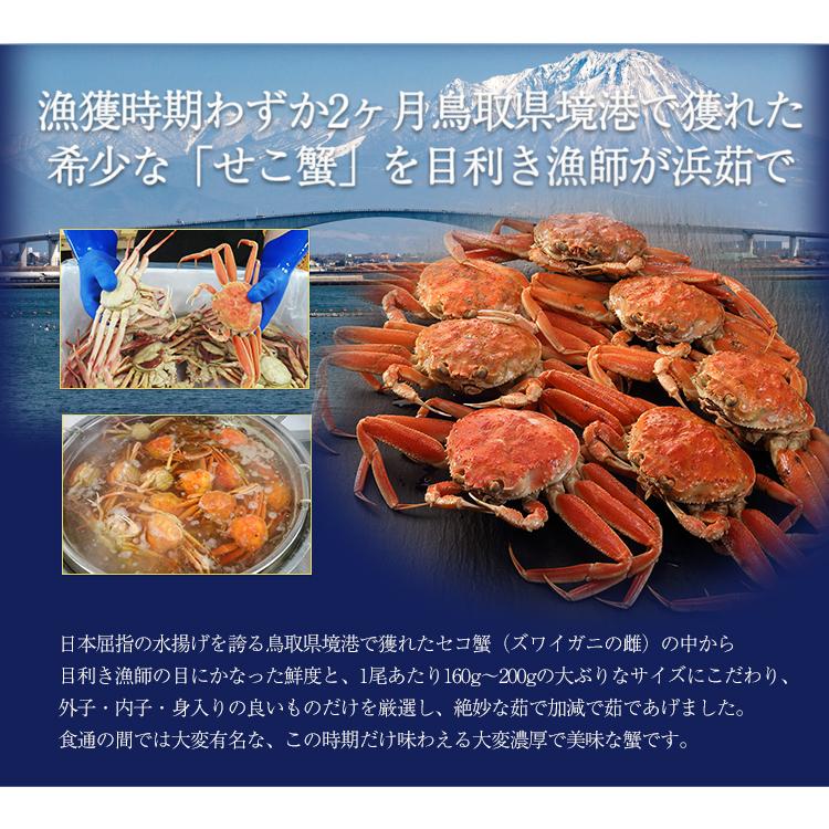 かに カニ 蟹 ズワイガニ せこがに | 【境港厳選】冷凍浜茹でセコガニ