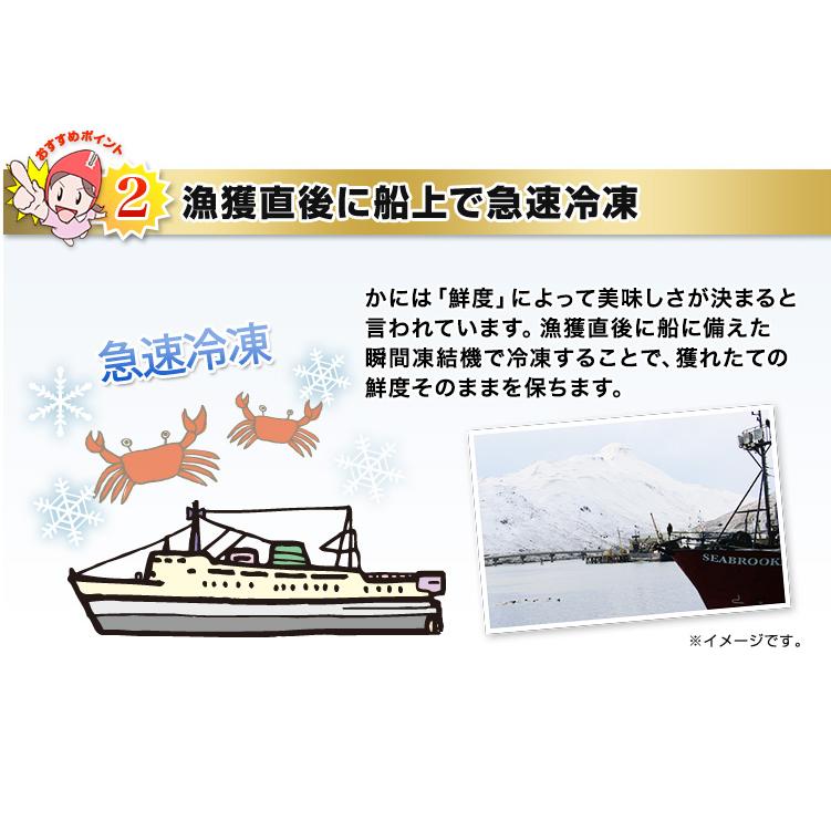 かに カニ 蟹 タラバガニ たらば蟹 |  超特大8L生たらばがに 約1.2kg（総重量約1.4kg）_8