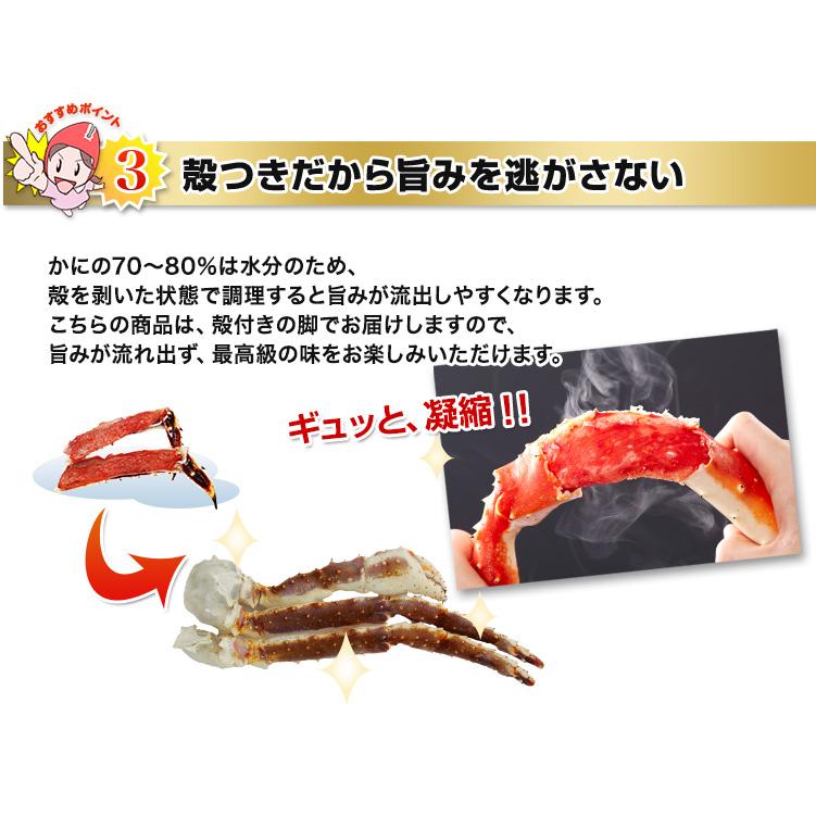 かに カニ 蟹 タラバガニ たらば蟹 |  超特大8L生たらばがに 約1.2kg（総重量約1.4kg）_9
