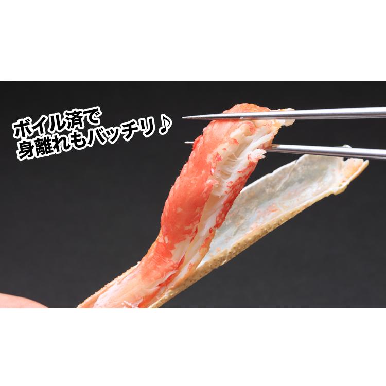 かに カニ 蟹 ズワイガニ ボイル | プレミアム超特大5Lボイルずわいがに肩脚10〜12肩(総重量約5Kg) | ブランド登録なし | 03