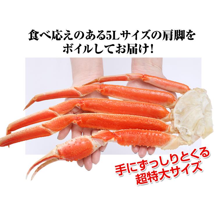 かに カニ 蟹 ズワイガニ ボイル | プレミアム超特大5Lボイルずわいがに肩脚10〜12肩(総重量約5Kg) | ブランド登録なし | 05