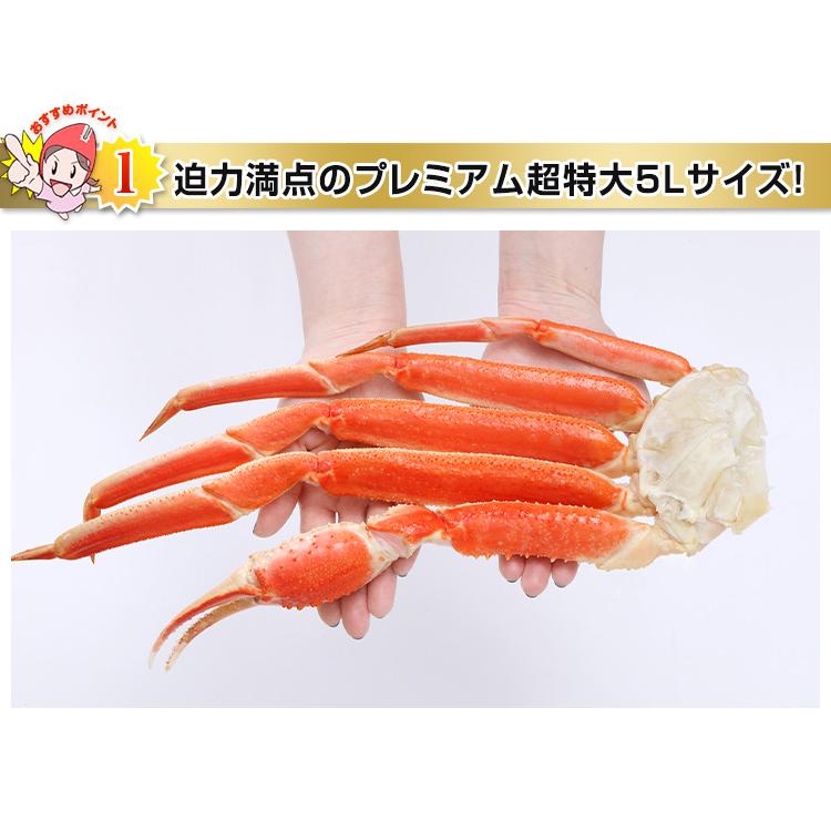 かに カニ 蟹 ズワイガニ ボイル | プレミアム超特大5Lボイルずわいがに肩脚10〜12肩(総重量約5Kg) | ブランド登録なし | 07