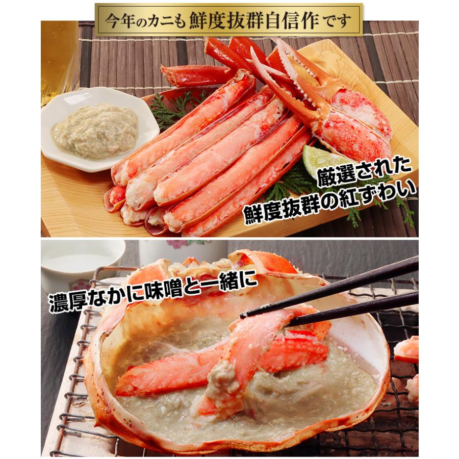 かに カニ 蟹 紅ズワイガニ 浜茹で紅ずわい | 【境港厳選】浜茹で紅