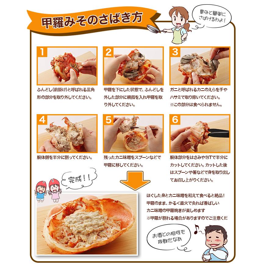 境港直送 紅ズワイガニ 浜茹で急速冷凍5杯約1.5キロ かに カニ 蟹 紅ズワイガニ 浜茹で紅ずわい | 【境港厳選】浜茹で紅