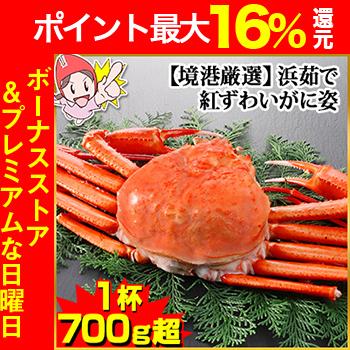 かに カニ 蟹 紅ズワイガニ 浜茹で紅ずわい | 【境港厳選】浜茹で大型