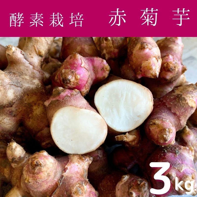 キクイモ 赤菊芋 3kg 生 菊芋 土付き 収穫祭 農薬無散布 オーガニック イヌリン 送料無料 Akakikuimo 3 イージーファームyahoo ショップ 通販 Yahoo ショッピング