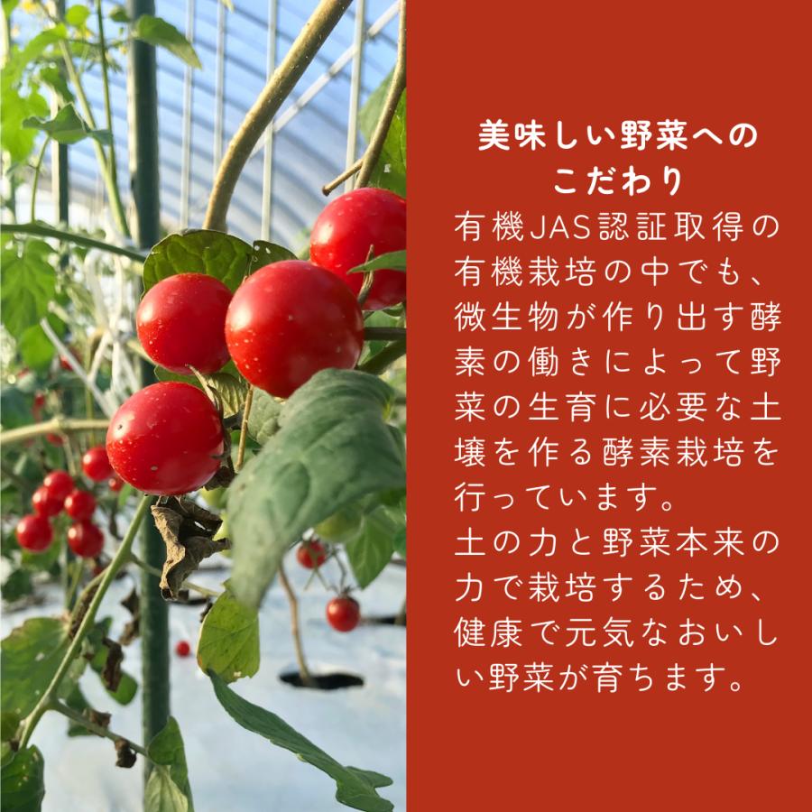 有機ドライトマト　200g　オーガニック　農薬無散布トマト　無添加　送料無料　有機JAS認証 |  | 02