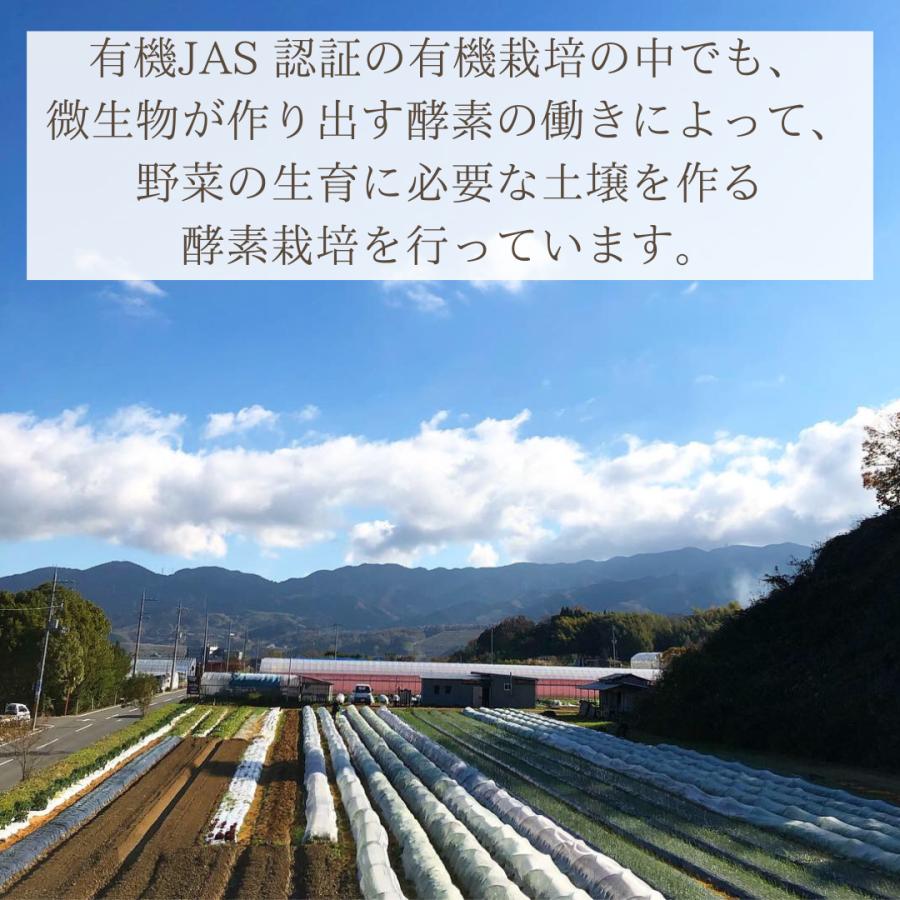有機ドライトマト　200g　オーガニック　農薬無散布トマト　無添加　送料無料　有機JAS認証 |  | 05
