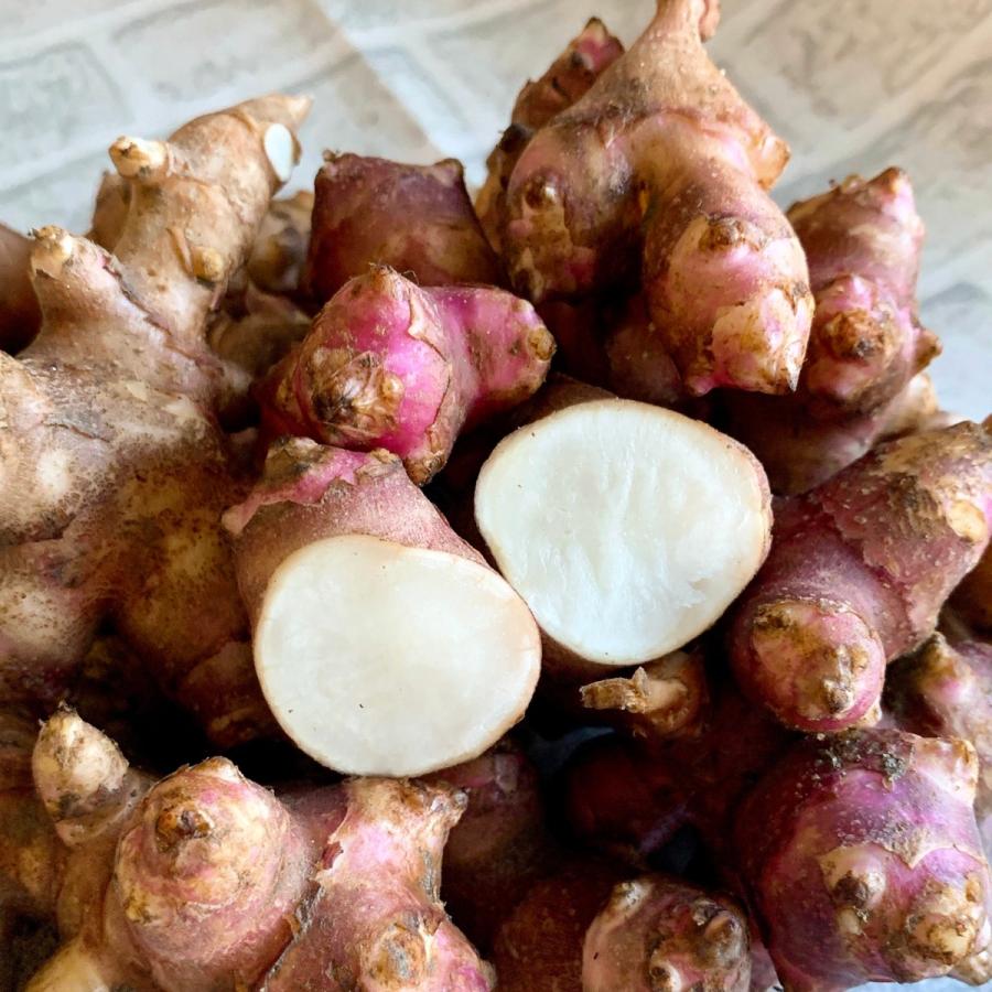 白菊芋 赤菊芋 キクイモ 生 3kg 菊芋 収穫祭 土付き オーガニック 農薬不使用 農場直送 送料無料 Kikuimomix 3 イージーファームyahoo ショップ 通販 Yahoo ショッピング