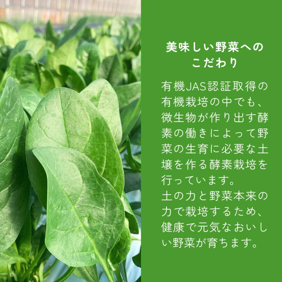 有機ほうれん草パウダー 100g 野菜 パウダー ほうれん草 有機ほうれん草パウダー 100g 野菜 パウダー ほうれん草