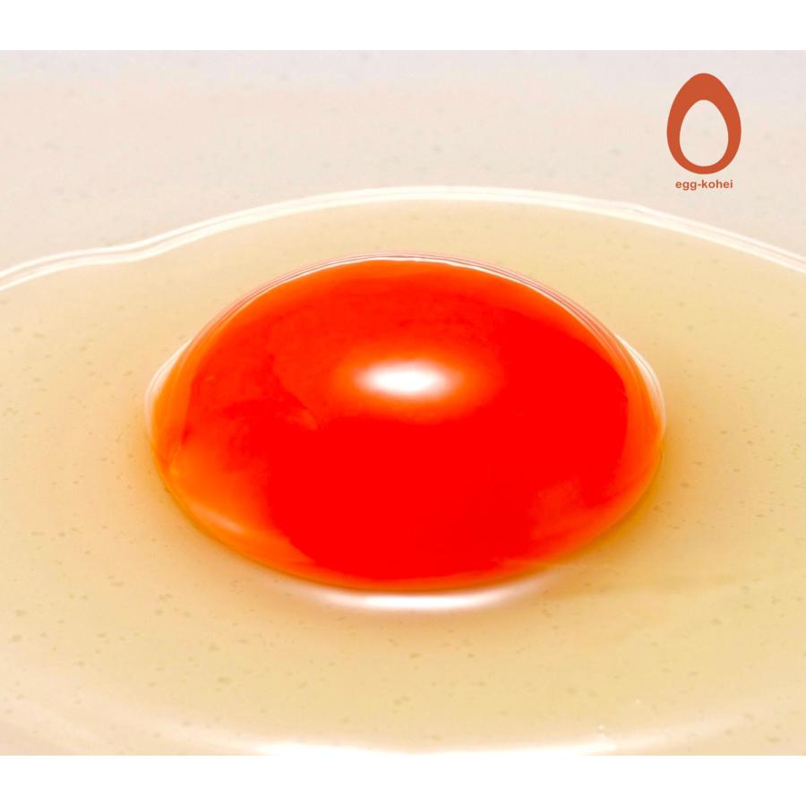 夢王 卵 たまご 5パックセット（1パック10個入） 日本一の卵 鶏卵 【 たまごかけご飯 祭り３年連続グランプリ 】贈り物 イベント ギフト プレゼント 新鮮たまご |  | 06