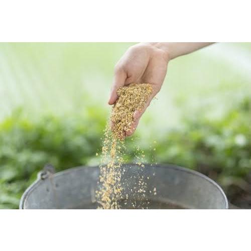 夢王 卵 たまご 3パック＋ 夢王醤油 2本セット（1パック10個入）日本一の卵 鶏卵 【 たまごかけご飯 祭り３年連続グランプリ 】贈り物  高級卵 ギフト |  | 11