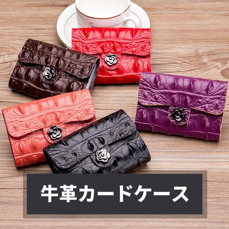 沸騰ブラドン カードケース 牛革 高級感 26枚収納 カードファイル ワニ柄 マルチケース コンパクト 名刺入れ クレジットカードケース 得トク2weeks セール