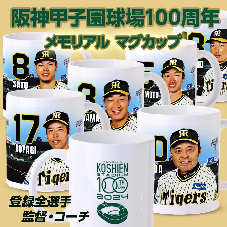 アナログテレビ　阪神タイガース　タイガースグッズ　野球　グッズ 阪神タイガース #69 石井大智 マグカップ(プロ野球 球団 阪神ファン