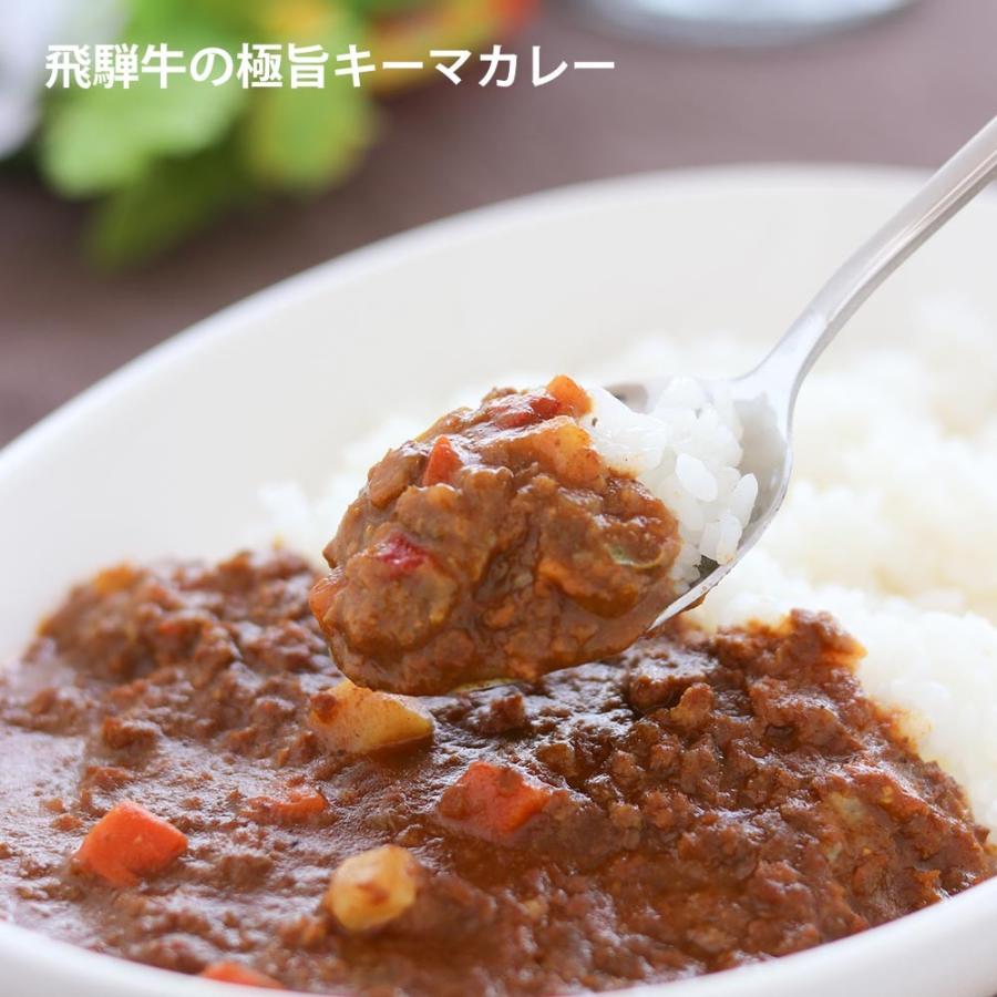 【ギフト】飛騨牛カレー３種セット　ギフト　化粧箱　レトルトカレー | 飛騨牛 | 01