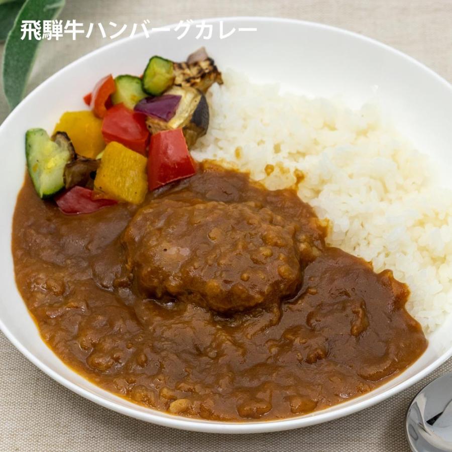 【ギフト】飛騨牛カレー３種セット　ギフト　化粧箱　レトルトカレー | 飛騨牛 | 02