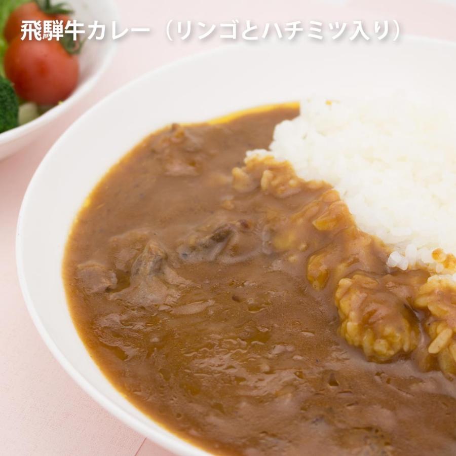 【ギフト】飛騨牛カレー３種セット　ギフト　化粧箱　レトルトカレー | 飛騨牛 | 03