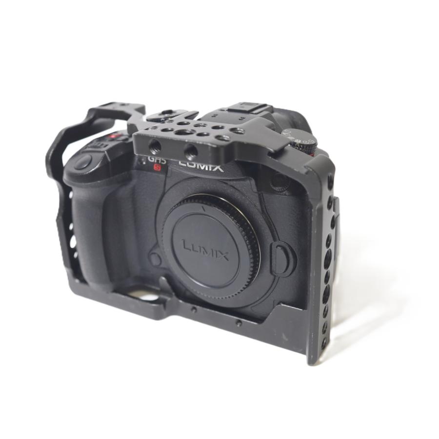 LUMIX DC-GH5S ボディの画像