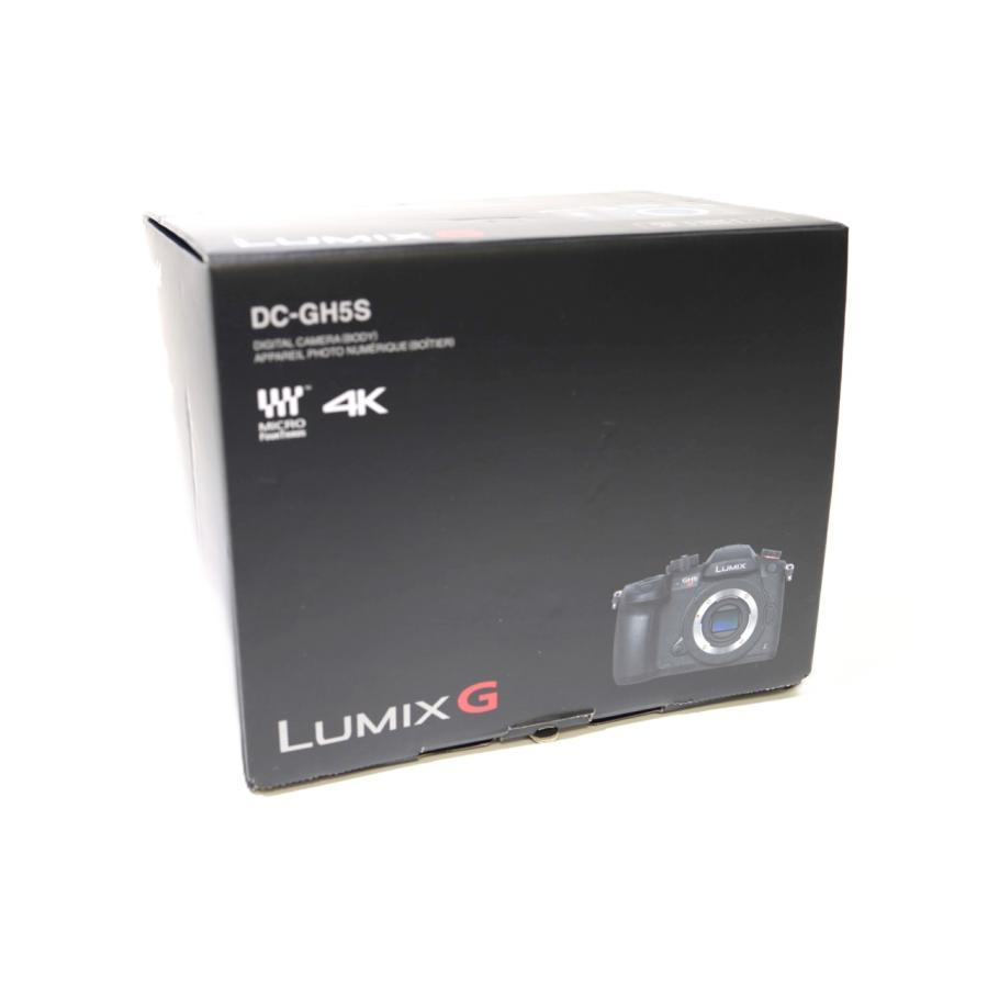 LUMIX DC-GH5S ボディの画像