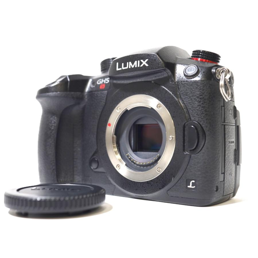 LUMIX DC-GH5S ボディの画像