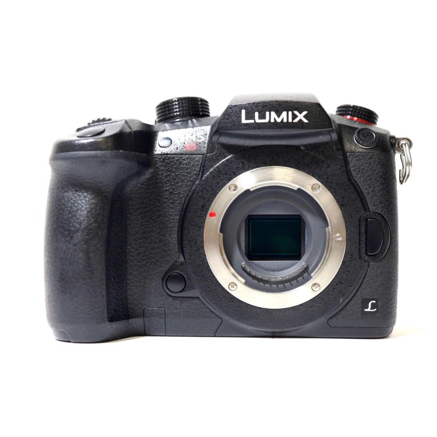 LUMIX DC-GH5S ボディの画像