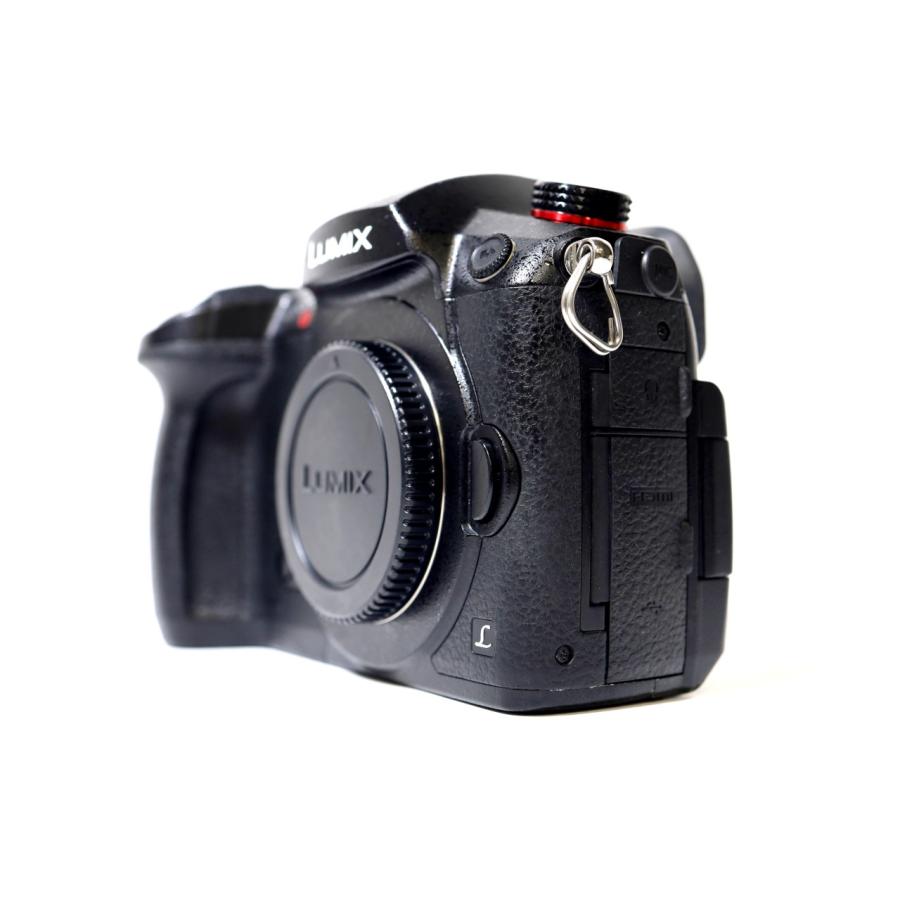 LUMIX DC-GH5S ボディの画像