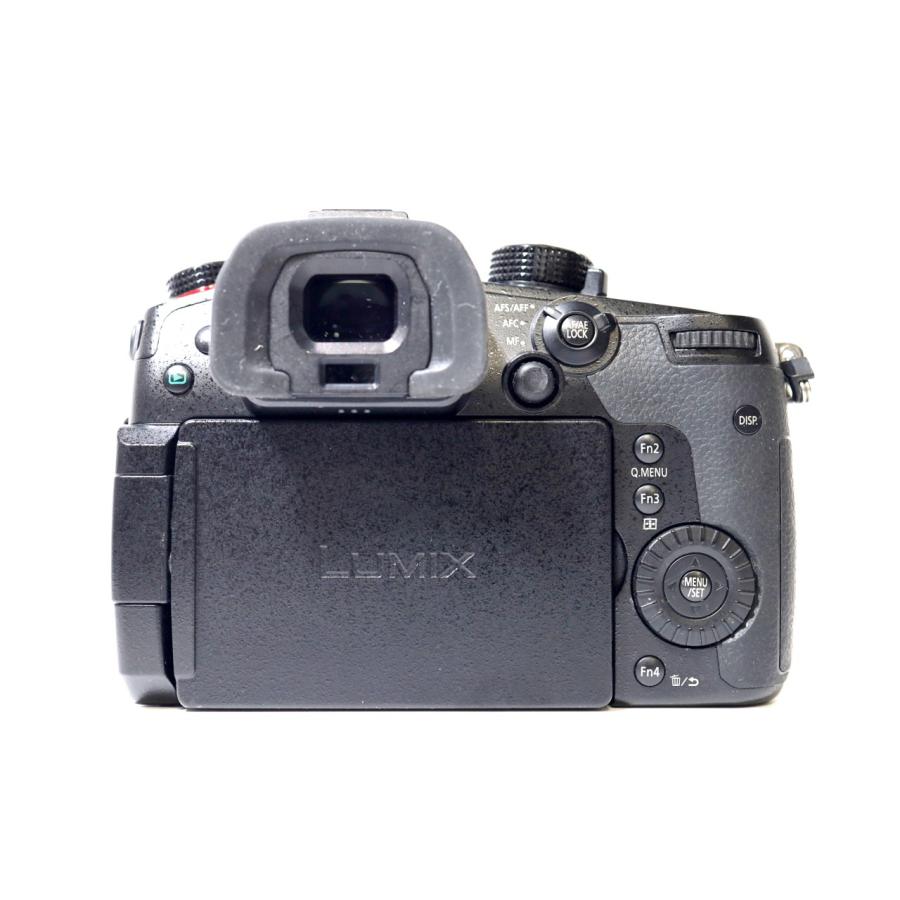 LUMIX DC-GH5S ボディの画像