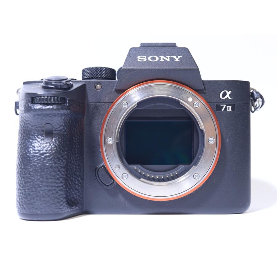 α7 III ILCE-7M3 ボディ : WiNKUSED - 通販 - Yahoo!ショッピング