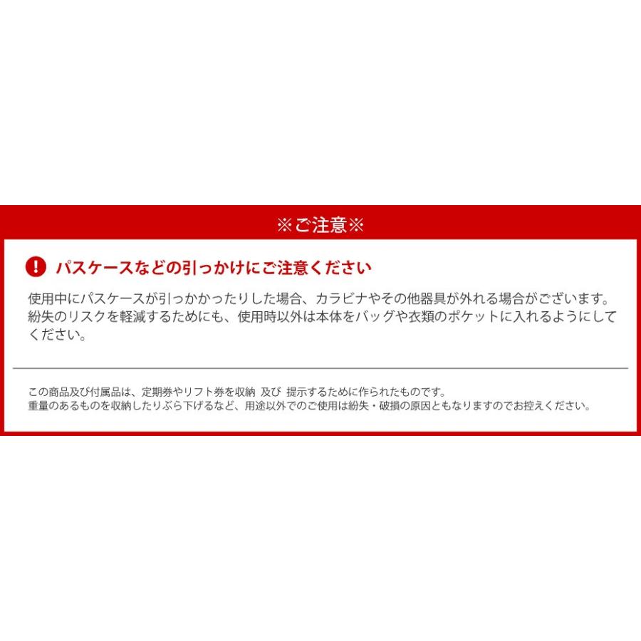 L1 スノーボードウェア 上下 ゴーグル リフト券入れ 楽天市場】スキーウェア レディース 上下セット パンツ